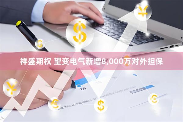 祥盛期权 望变电气新增8,000万对外担保