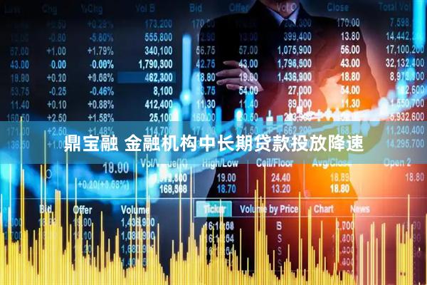 鼎宝融 金融机构中长期贷款投放降速